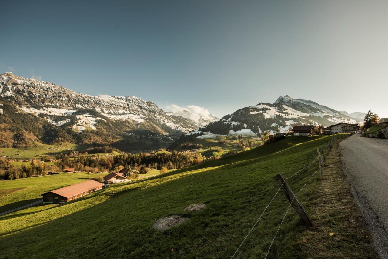 Chalet Bergwelt Frutigen Zewnętrze zdjęcie