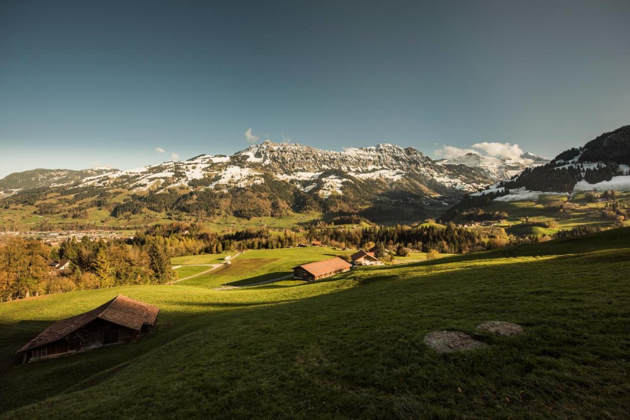Chalet Bergwelt Frutigen Zewnętrze zdjęcie